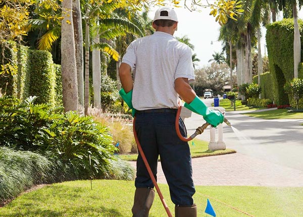 About Panora IA Pest Control Pros